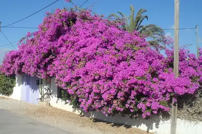 Image de Maison de campagne dans un village espagnol, à la périphérie de Carthagène