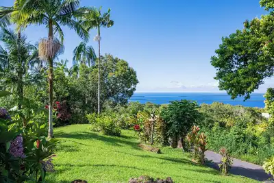 Image de Niché dans des fleurs tropicales prospères