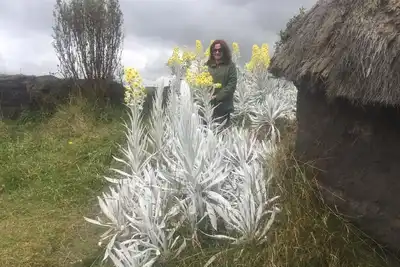Image de La Casa Del Parque Riobamba