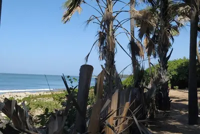 Image de Paradis préservé du sud de la Gambie '' Pure Nature Treehouse ''
