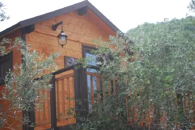Image de La \"Treehouse Cherry\"
