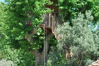 Image de Cabane dans le platane, piscine, trampoline