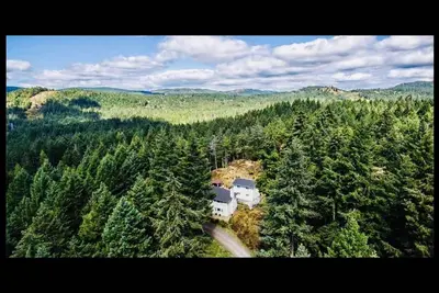 Image de Un magnifique studio oasis vous attend. . .