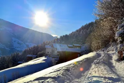 Image de Hutte de forĂŞt, moins c'est plus
