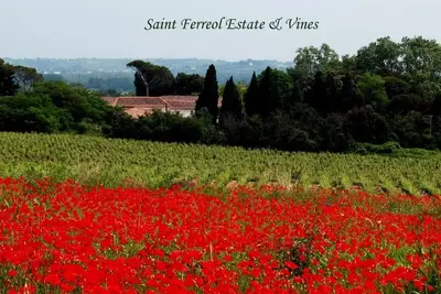 Image de La Forge, 2 bedroom charming vineyard villa at Domaine Saint Ferreol