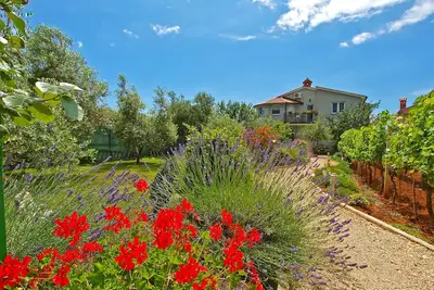 Image de Apartment 1002/3282 (Istria - Fažana), 900m from the beach