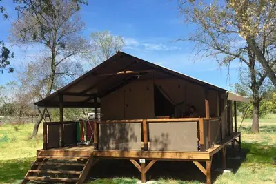 Image de Camping Le Mas des Chenes