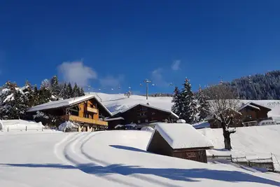 Image de Loue Appartement dan Chalet Sur les Pistes de ski de L'espace Diamant