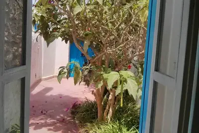 Image de Charmante maison berbère dans un style traditionnel