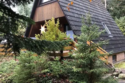 Image de Hambuehren, Celle Märchenwaldhaus Drosselbart, Nurdachhaus Waldgrundstück