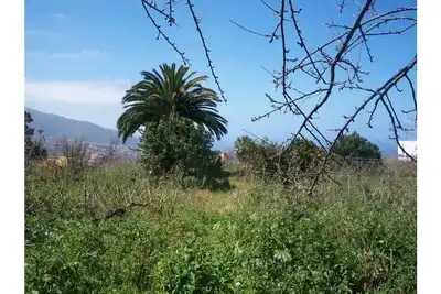 Image de La Casita Ă La Orotava
