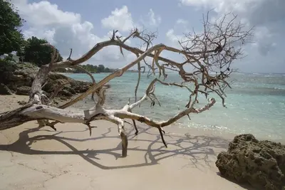 Image de spacieux T3 avec accès direct à la plage