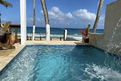 Image de Nid bleu à la plage