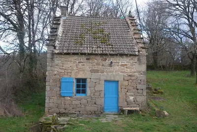 Image de Un cocon dans la nature