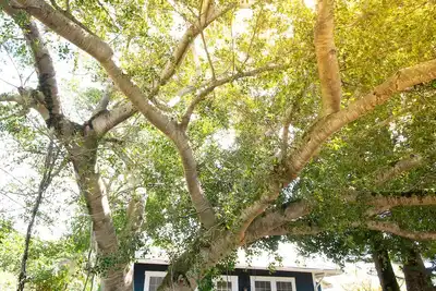 Sweeping Ocean Views, Very Private Cottage