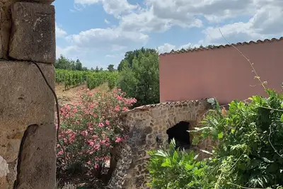 Image de Ecogite 3 étoiles 8/10Pers Au Coeur Des Vignes