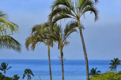 Image de Condo Napili Ridge avec vue partielle sur l'océan et à pied de Napili Bay!