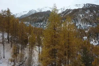 Image de 1er étage, balcon, télévision, casier à ski, 32m², Les Orres