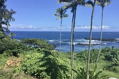 Image de Swim with the turtles and watch the whales! S-l-o-w down and R E L A X.