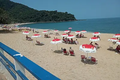 Image de Mer De Faune Et De Flore À BOIÇUCANGA Beach