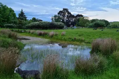 Image de Retirez-vous à la ferme et profitez de la brousse et du ruisseau indigènes.