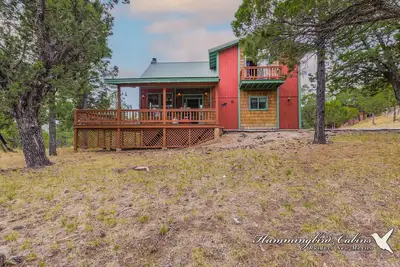 Image de Asseyez-vous et profitez des grands pins de l'Alhambra