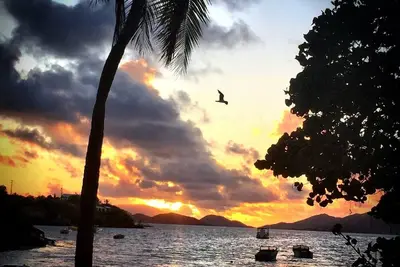 Image de Commencez votre année \"Sans stress au Wyndham Margaritaville St Thomas Resort\"