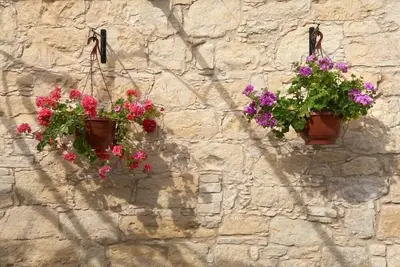 Arsorama Village Homes