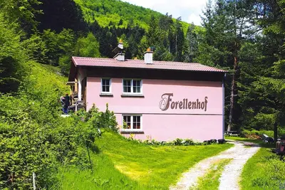Image de Appartement spacieux, Vallée de la Zorn