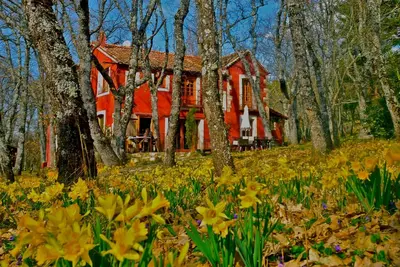 Image de Une maison magique au cœur du parc de Guadarrama