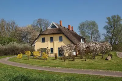 Image de Maison au toit de chaume inondée de lumière - Maison de vacances au toit de chaume, 3 chambres, cheminée, radio Internet, jardin, WiFi