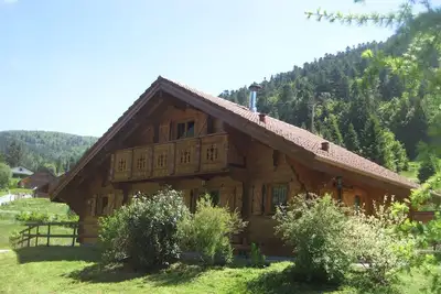 Image de Chalet authentique familial individuel tout confort au coeur des Hautes Vosges