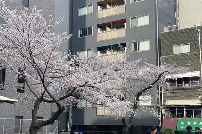 Image de Hotel ffosaka. com