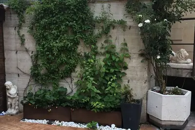 Image de Appartement Avec Jardin