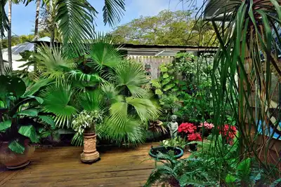 Image de ~ Solaris Pair-A-Dise ~ A garden lover’s dream on a quiet Key West lane.