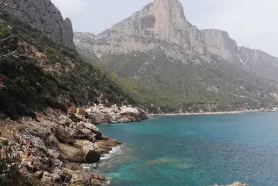 Image de Homerez - Appart. à Loceri, vue ville, parking