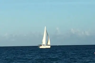 Image de La sirène de Palm Beach