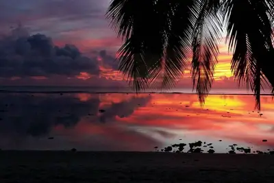 Image de Sunset Palms Rarotonga - Garden Sea View Bungalow
