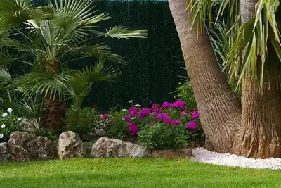 Image de Maison de vacances piscine jardin commune de Pégomas alpes maritimes