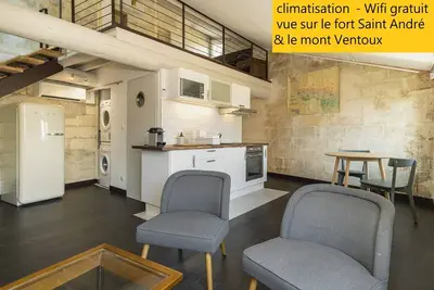 Image de appart 35 m2 + mezzanine 10 m2, dans centre historique de Villeneuve les avignon
