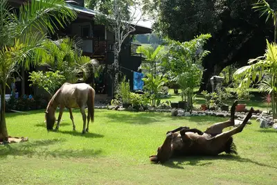 Image de Beach Ranch Superclose De La Plage