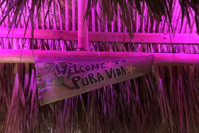 Image de Offre spéciale! Réunion de famille sous une cabane Tiki. La résidence Tiki Hideaway!