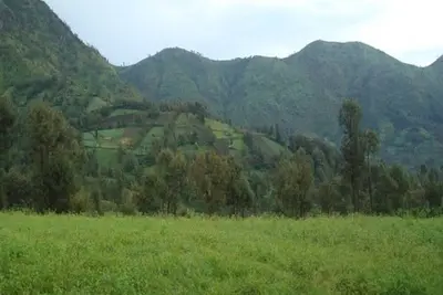 Image de Savana Homestay Bromo