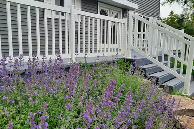 Image de Maison au bord de l'eau récemment rénovée sur Lilly Bay!