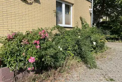 Image de Bel appartement pour 6 personnes avec Tv, patio, animaux admis et parking