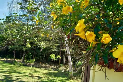 Image de Casa das Dunas - Chaleur et confort