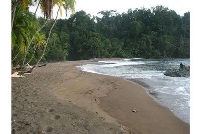 Image de Bungalow 4 dans Lodge Punta Marenco