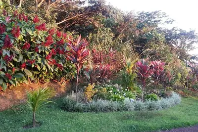 Image de Appartement avec vue magnifique et la meilleure température