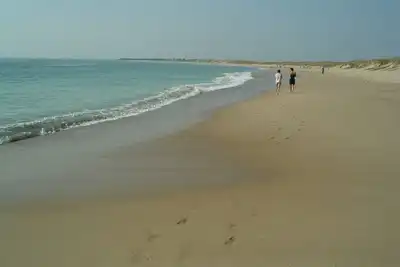 Image de Beach and forest, villa fr 10p