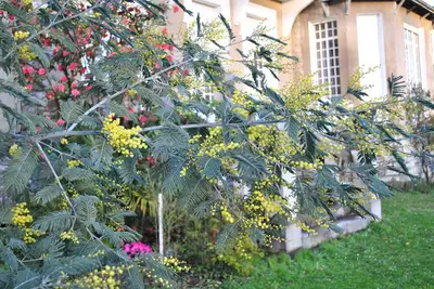 Image de Villa Hortebise grande maison de charme et élégance, vacances en famille